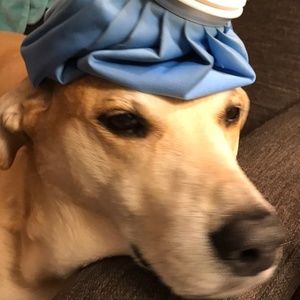 Meet your Posher, Margaret